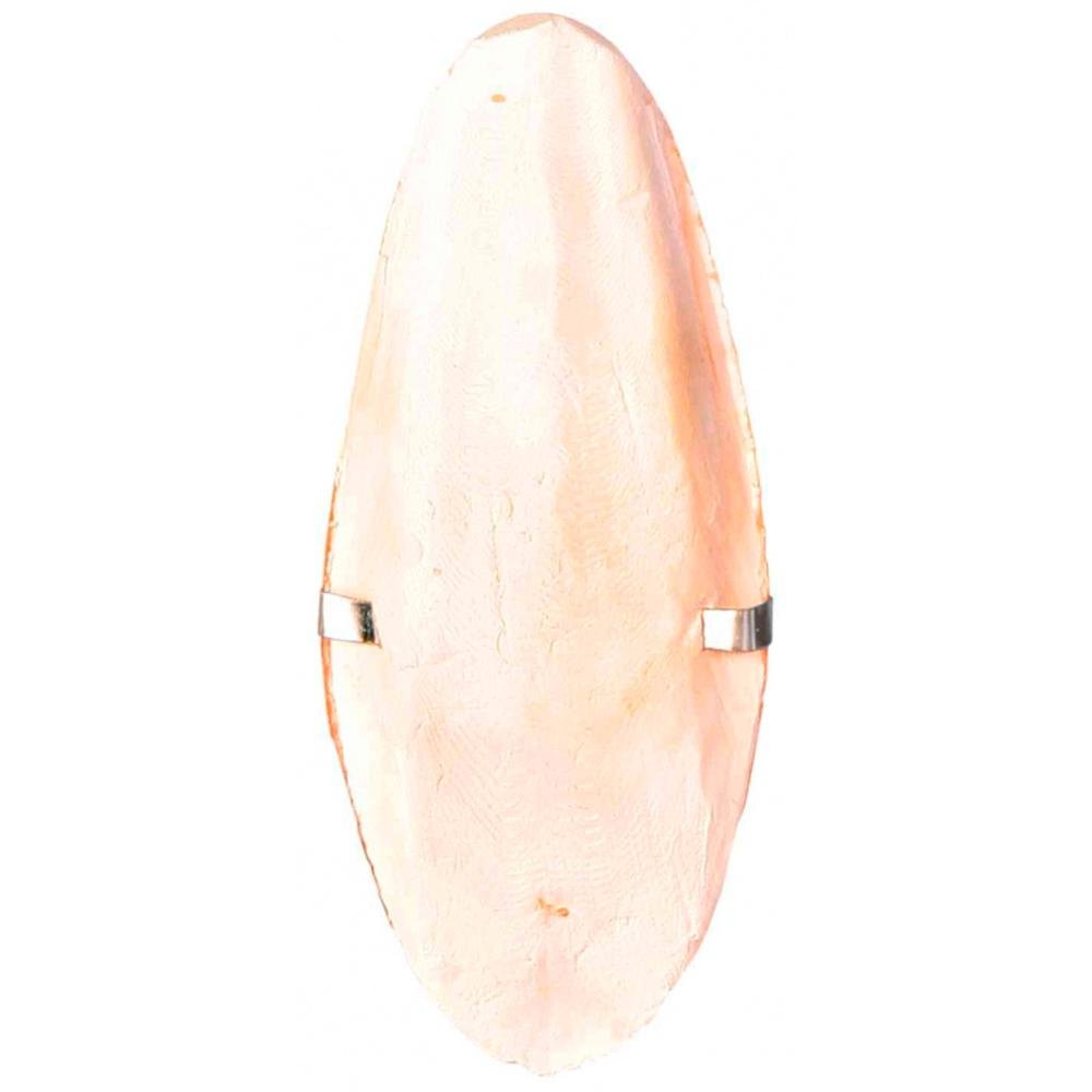 CUTTLE BONE WITH SUPPORT