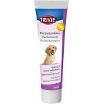 MULTIVITAMIN PASTE FOR DOGS