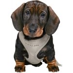 SOFT CHEST WITH LEASH