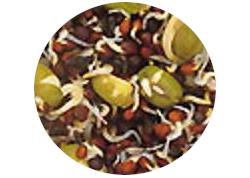 GERMINATING SEEDS 1 KG