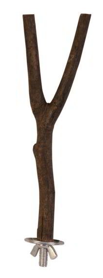 Y PERCH IN VIRGIN WOOD