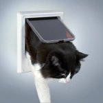FREECAT DELUXE MAGNETIC DOOR