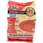 QUIKO PAPA SPECIAL RED