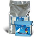 WHITE SOFT SOLE SHOE