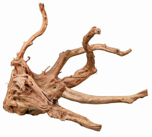 FINGER ROOT FOR AQUARIUM