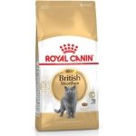 ROYAL CANIN BRITISH SHORTAIR 2 KG