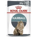 ROYAL CANIN CAT WET HAIRBALL CARE 12 x 85GR