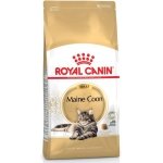 ROYAL CANIN MAINE COON