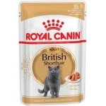 ROYAL CANIN CAT WET BRITISH SHORTAIR 12 x 85 GR