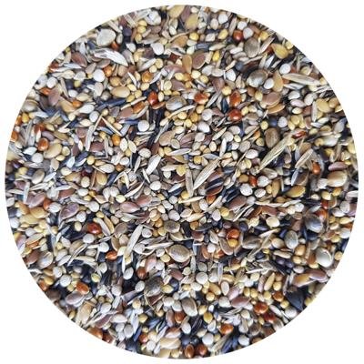 HEALTH SEEDS 1 KG