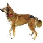 LUXURY BLACK HYGIENIC SLIPS