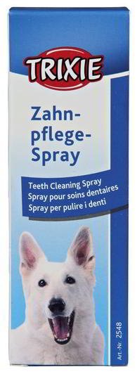 DENTAL HYGIENE SPRAY