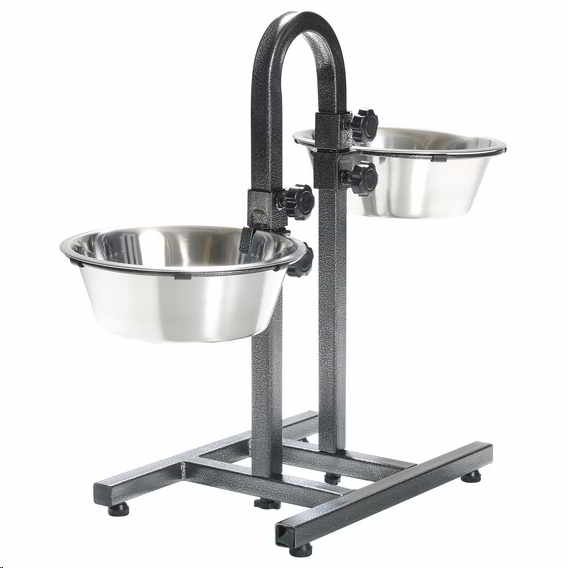 INDEPENDENT DUAL SUPPORT
