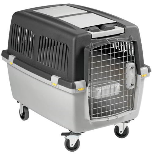 gulliver-iv-iata-transportation-company GULLIVER IV IATA TRANSPORTATION COMPANY - Image 1