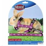 LEASH AND HARNESS WITH RABBIT MOTIFS