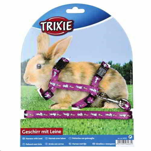 LEASH AND HARNESS WITH RABBIT MOTIFS