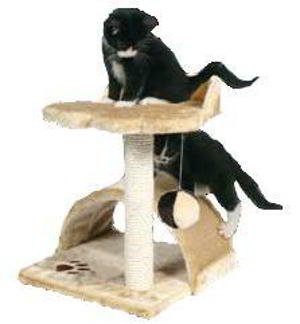 victoria-climber VICTORIA CLIMBER - Image 1