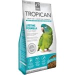 TROPICAN PARROTS