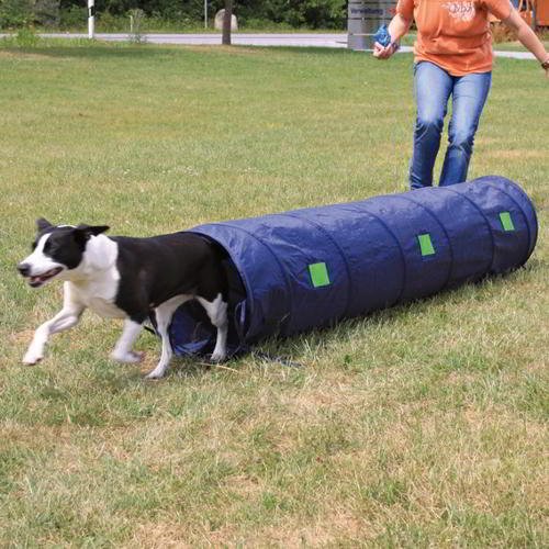 nylon-tunnel-for-agility NYLON TUNNEL FOR AGILITY - Image 1