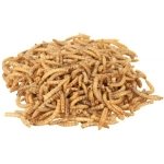 MEALWORMS 70 GR