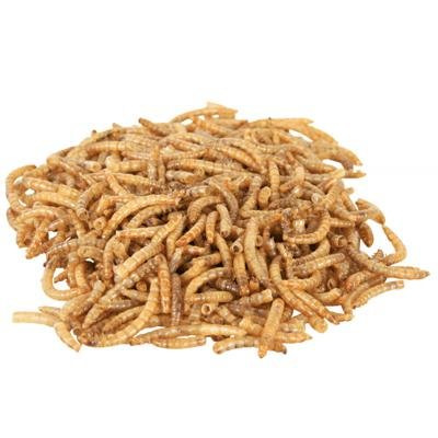 MEALWORMS 70 GR