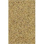 VERSELE LAGA CANARY SEED 1 KG