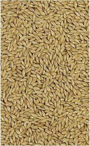 VERSELE LAGA CANARY SEED 1 KG