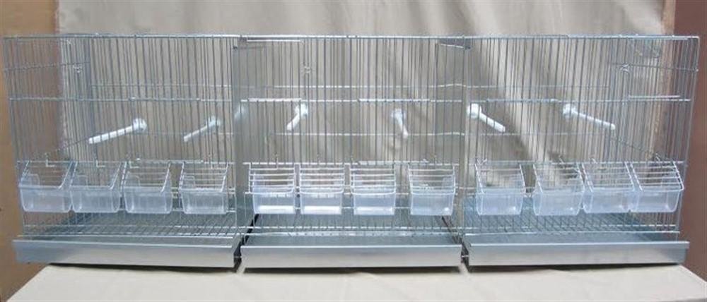 TRIPLE BREEDING NURSERY