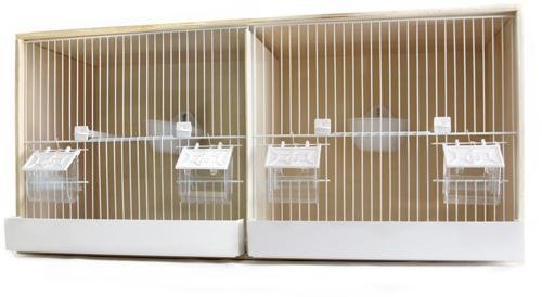 DOUBLE POPLAR NURSERY