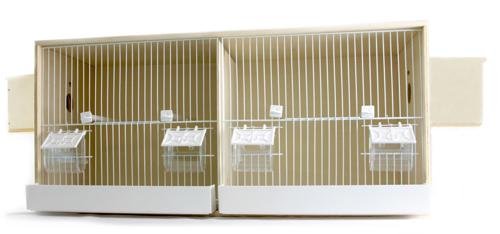 DOUBLE POPLAR AVIATION FOR PARAKETS