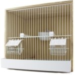 SIMPLE POPLAR NURSERY