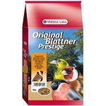 VL BLATTNER GOLDFINCH