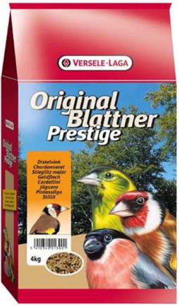 vl-blattner-goldfinch VL BLATTNER GOLDFINCH - Image 1