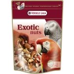 VL PARROT EXOTIC NUTS